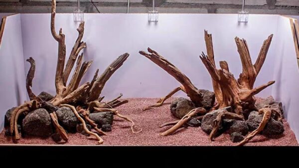 Driftwood to Use