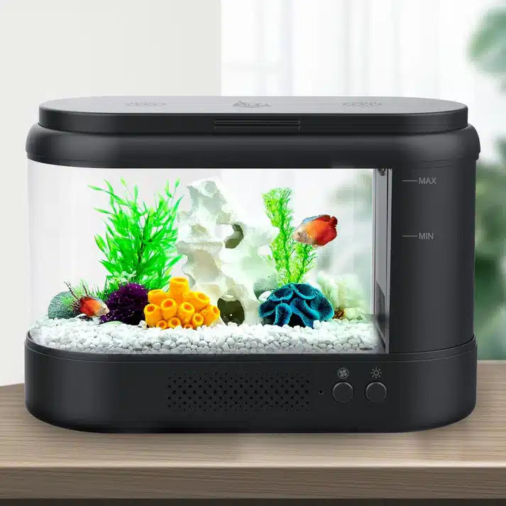 Get expert fish tank tips at Aquarium Haven