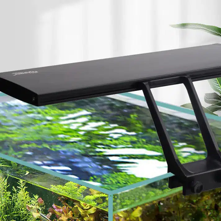Affordable fish tanks at Aquarium Haven
