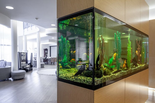 Aqua Scaping with Minimal Effort
