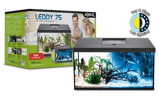 High-quality shrimp tanks from Aquarium Haven