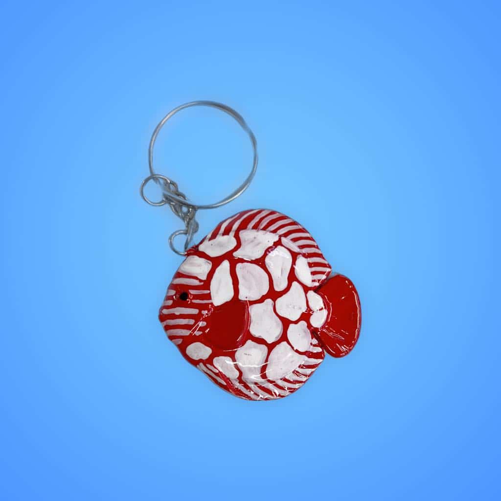 Top-quality discus fish at Aquarium Haven