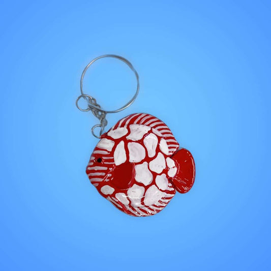 Top-quality discus fish at Aquarium Haven