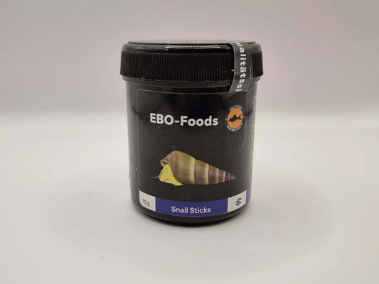 Discover top-quality fish tank accessories at Aquarium Haven today.