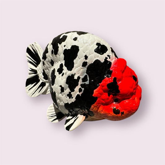 Aquarium Haven’s best-selling aquarium decorations