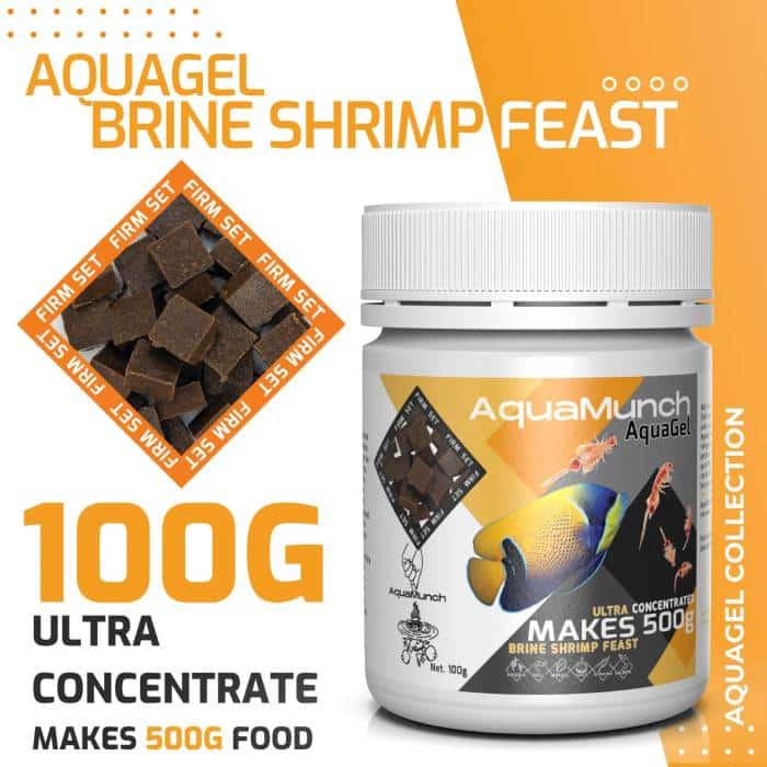 Upgrade your fish’s diet with superior nutrition.