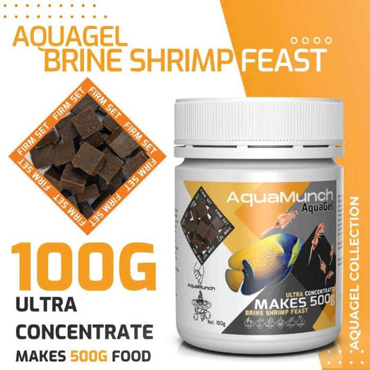 Upgrade your fish’s diet with superior nutrition.