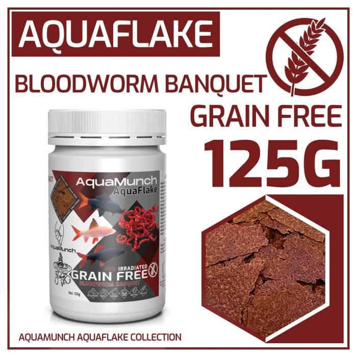 Aquarium Haven’s handpicked freshwater fish collection