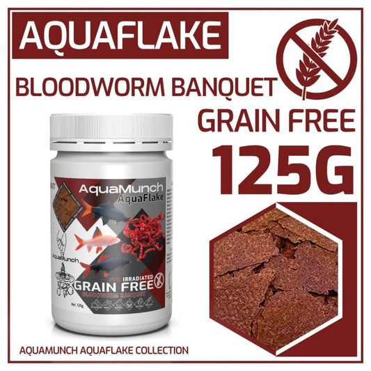 Aquarium Haven’s handpicked freshwater fish collection