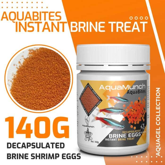 Aquarium Haven’s best aquarium protein skimmers