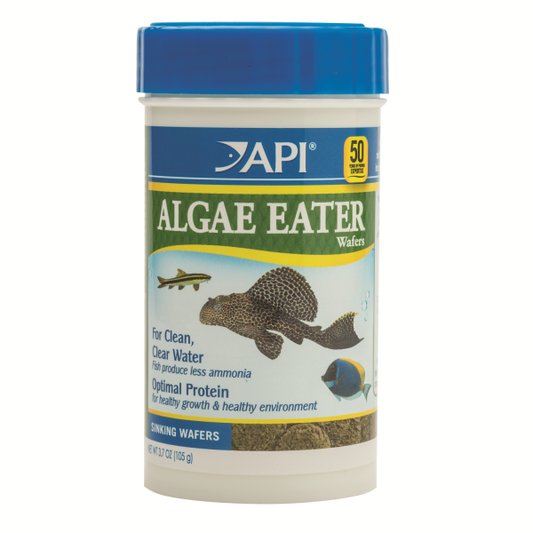 Premium fish food available at Aquarium Haven