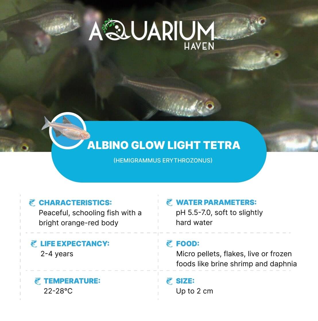 Aquarium Haven’s premium fish breeding supplies