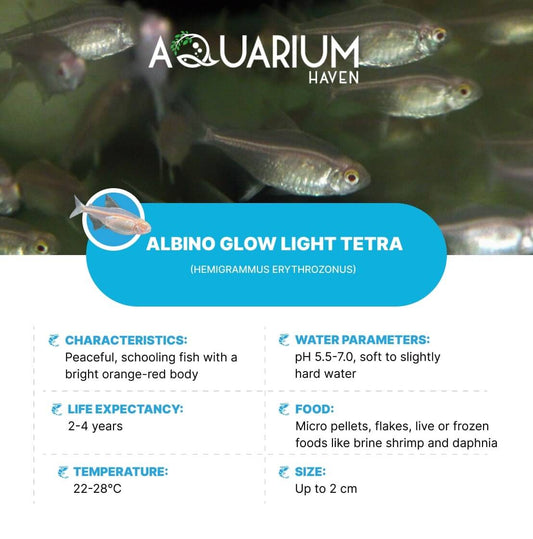 Aquarium Haven’s premium fish breeding supplies