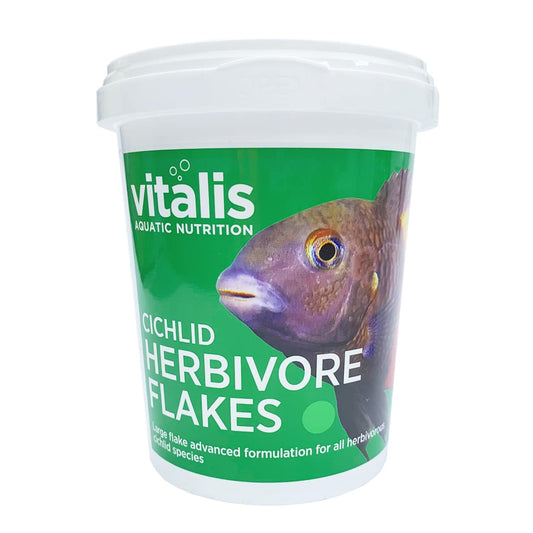 Cichlid-Herbivore-Flakes-40g-Pot-White