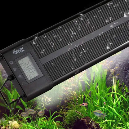 Find high-quality aquarium stands at Aquarium Haven