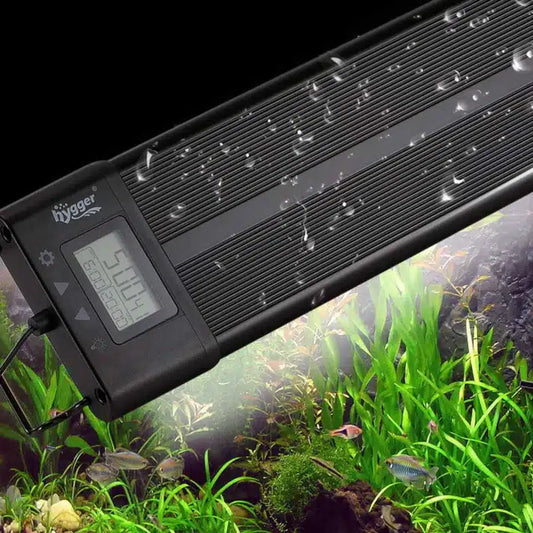 Find high-quality aquarium stands at Aquarium Haven