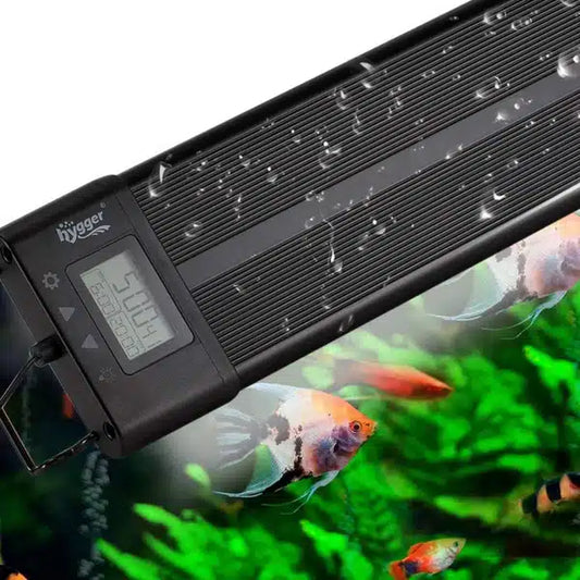 High-intensity LED aquarium light fixture