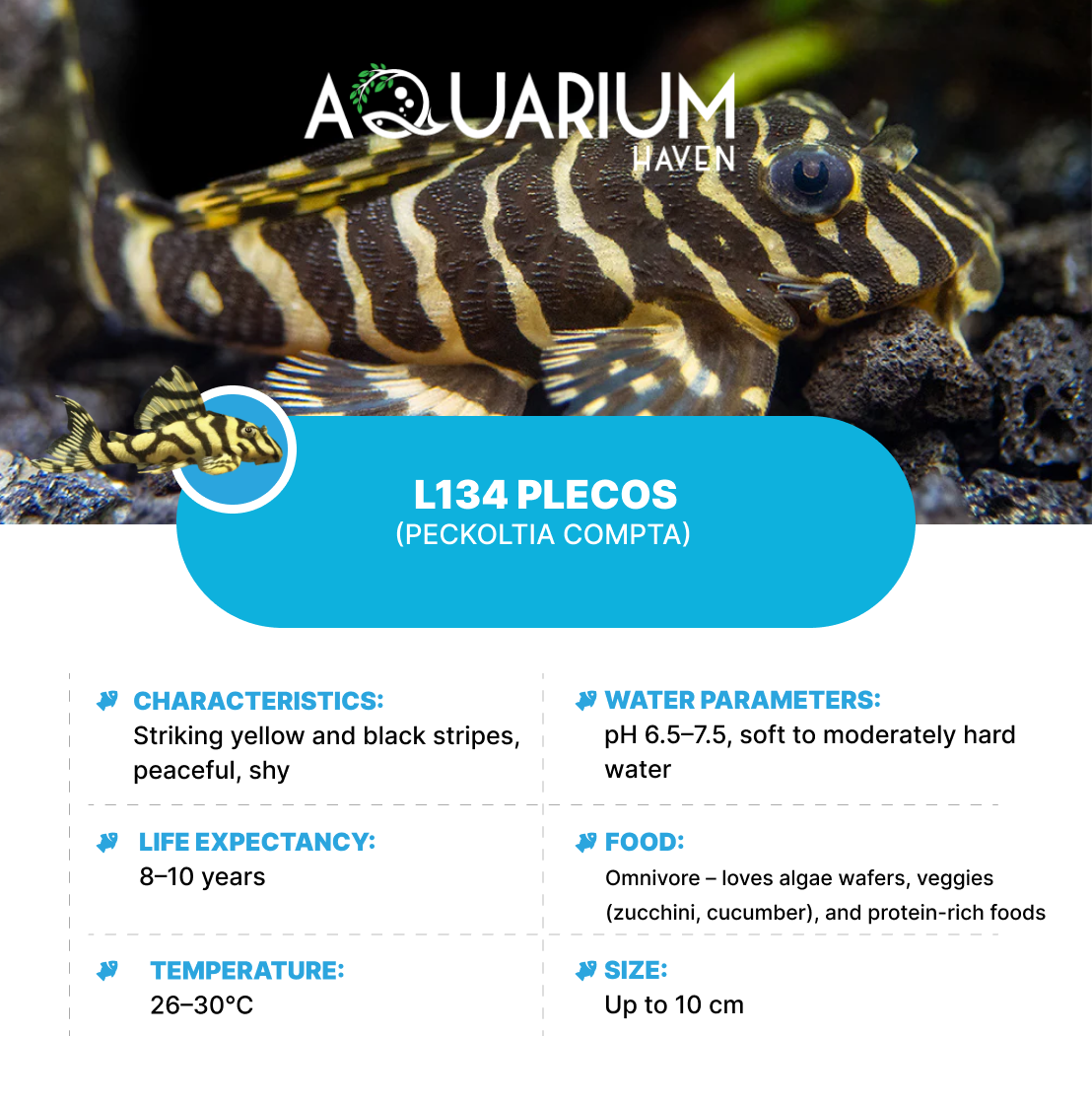 L134 Plecos