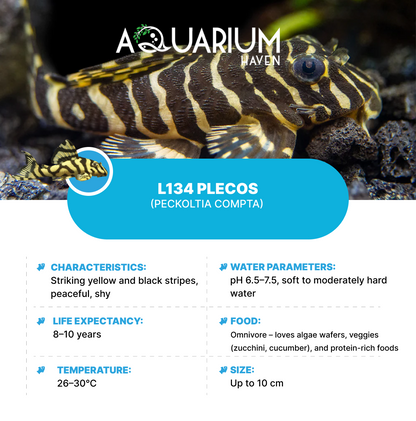 L134 Plecos