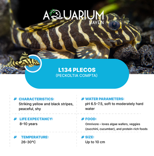 L134 Plecos