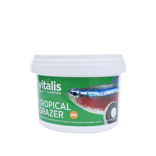 Tropical-Grazer-120g-Pot-White