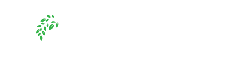 Aquarium Haven