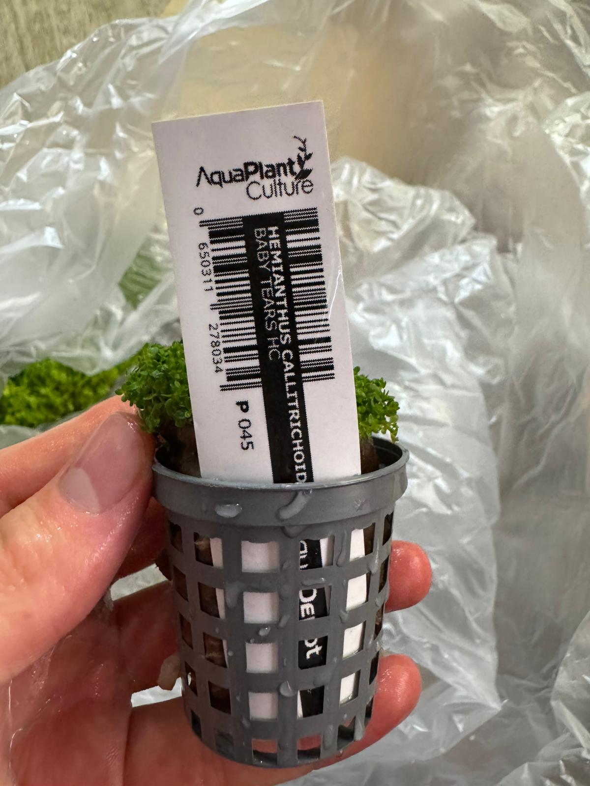Aquarium Haven’s variety of aquarium plant fertilisers
