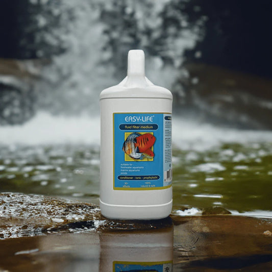 fluid filter 5lt 
