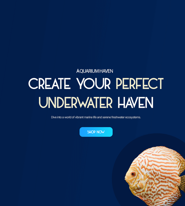 aquarium-haven-australia-banner