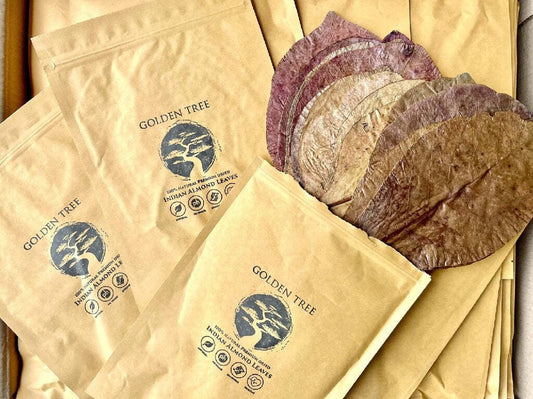 Golden Tree &#8211; Premium Indian Almond Leves