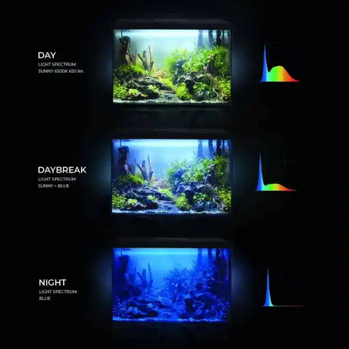 Aquael Leddy 40 Day & Night Aquarium Set - Image 3