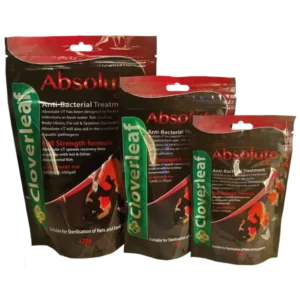 Cloverleaf Absolute CT